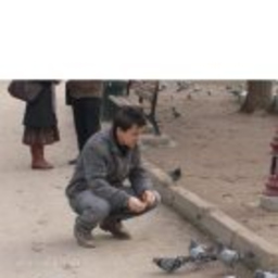 Mutlu Kaya