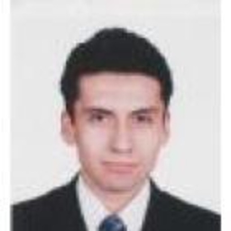 Ronald Antony Bernal Flores