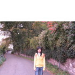 艺儒 王