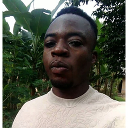 Ugochukwu Chinagorom