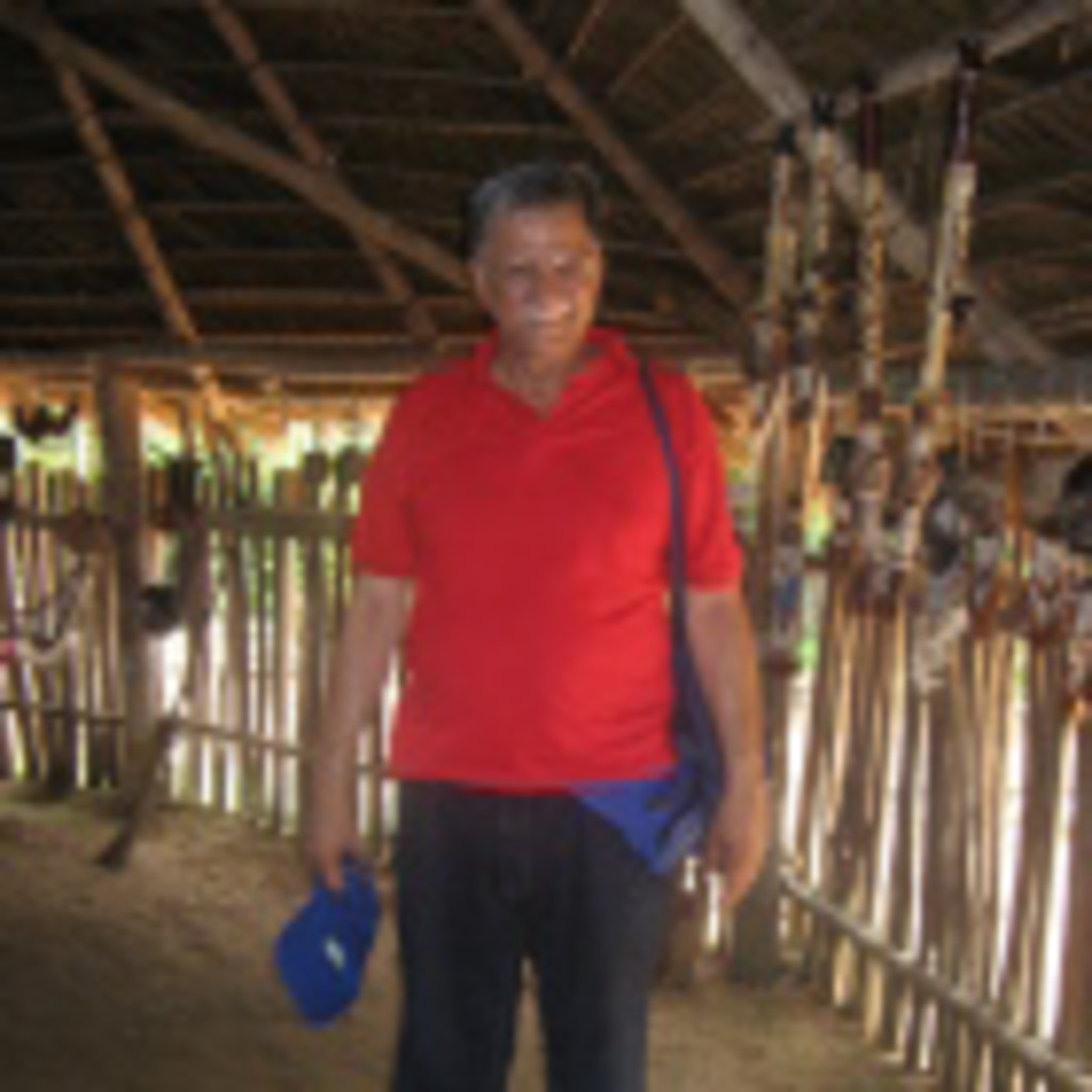 FRANCISCO GUZMAN subdirector colegio san agustin XING
