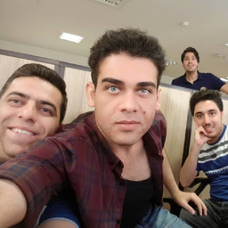 Dipl.-Ing. Shahin Seyf aghaei