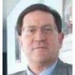 BRUNO ROSSI