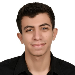Amr Ayman