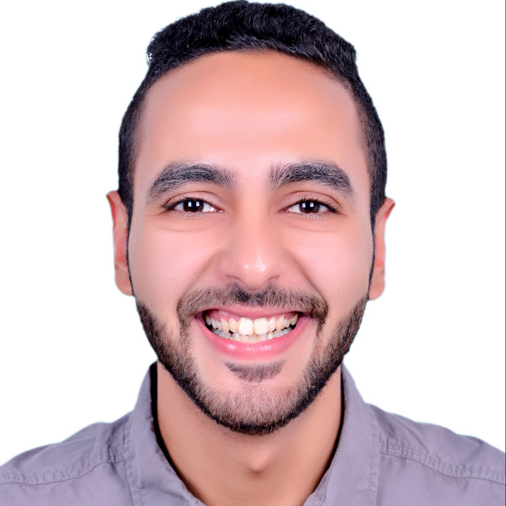 Ramy bassily senior systems engineer diyar united company xing