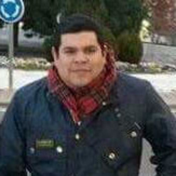 Ing. Jose luis Garcia burgos