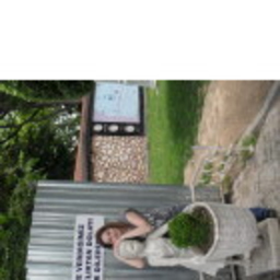 Ebru Metin