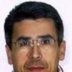 Stefano Lerede