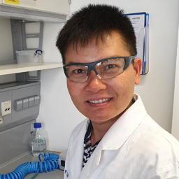 Dr. Duong Hoang