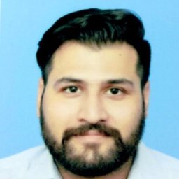 Hassan Abbas Mir