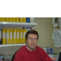 Juan Berrocal
