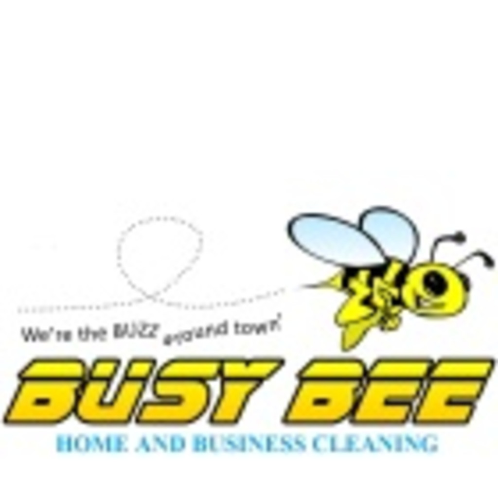 Regina Strube Owner Busy Bee Errand & Concierge Service XING