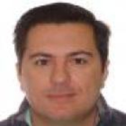 Javier Hernandez Losa