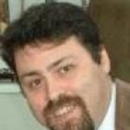 Roberto Bonin