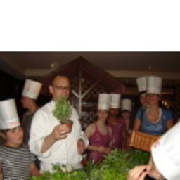 Thibo Levasseur