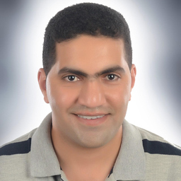 Mostafa Mohamed Hashim Mostafa