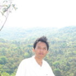 Chaoran lei
