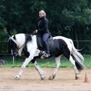 Katja Wolf Pferdetraining Horsemanship