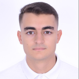 Amine Zari