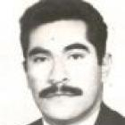 LUIS CARLOS Wellmann Perez