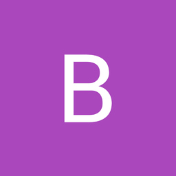 Bodo Bräunle's profile picture