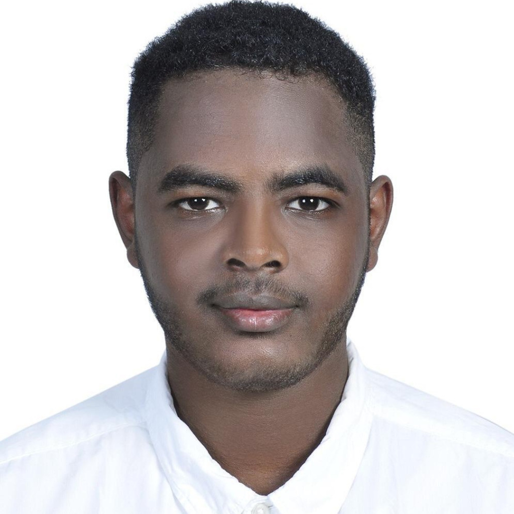 Ahmed Elkhawad Hamid Abdelrahman Mechatronics, Systems Engineering