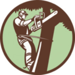 Tree Lopping Brisbane North
