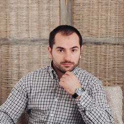 Gjoko Gjorgjiovski's profile picture