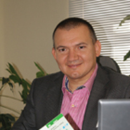 Ingo Friedl