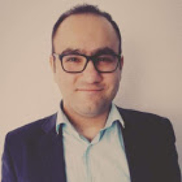 Mahyar Pasarzangnene