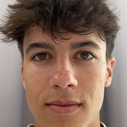 Dominik Elias