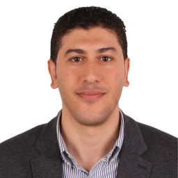 Ing. SHERIF MOHSEN ELKASSRAWY