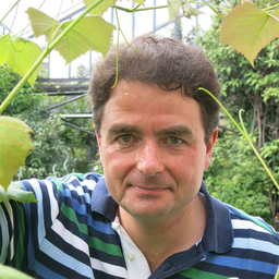 Markus Teige