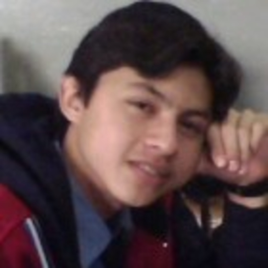 Javier Caceres electricista termodinamica XING