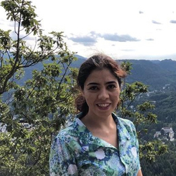 Dr. Bahareh Ghasemi