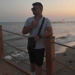 Koray Ari