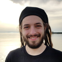 Dominik Viererbe