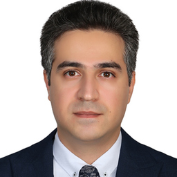 Amir Alizadeh