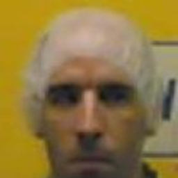 francesco messina