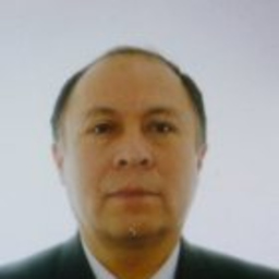 TOMÁS RAÚL CARDOSO ARAUJO