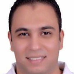 Ahmed Abdelalim Bekhit's profile picture