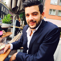 Ilay Ben Hamo's profile picture