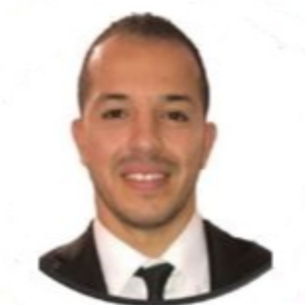 Ing. Hamdi Raouafi Test Automation Engineer Sogeti Deutschland GmbH