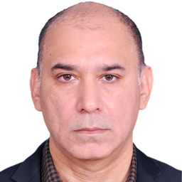 Muhammad Ali Bhatti