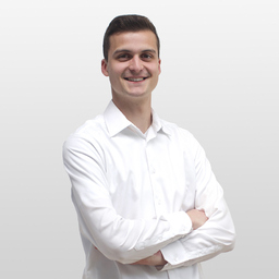 mathieu schneider