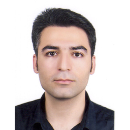 S. Ali Hosseini