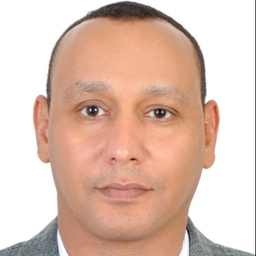 Amr ISMAIEL