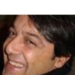 stefano monticelli