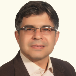 Siavash Jafari's profile picture