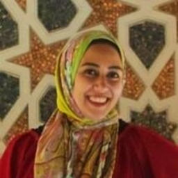 Tokallah M Hussein